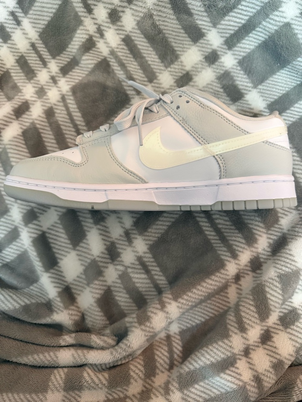 Nike Low Top Athletic Sneakers in Light Gray and White